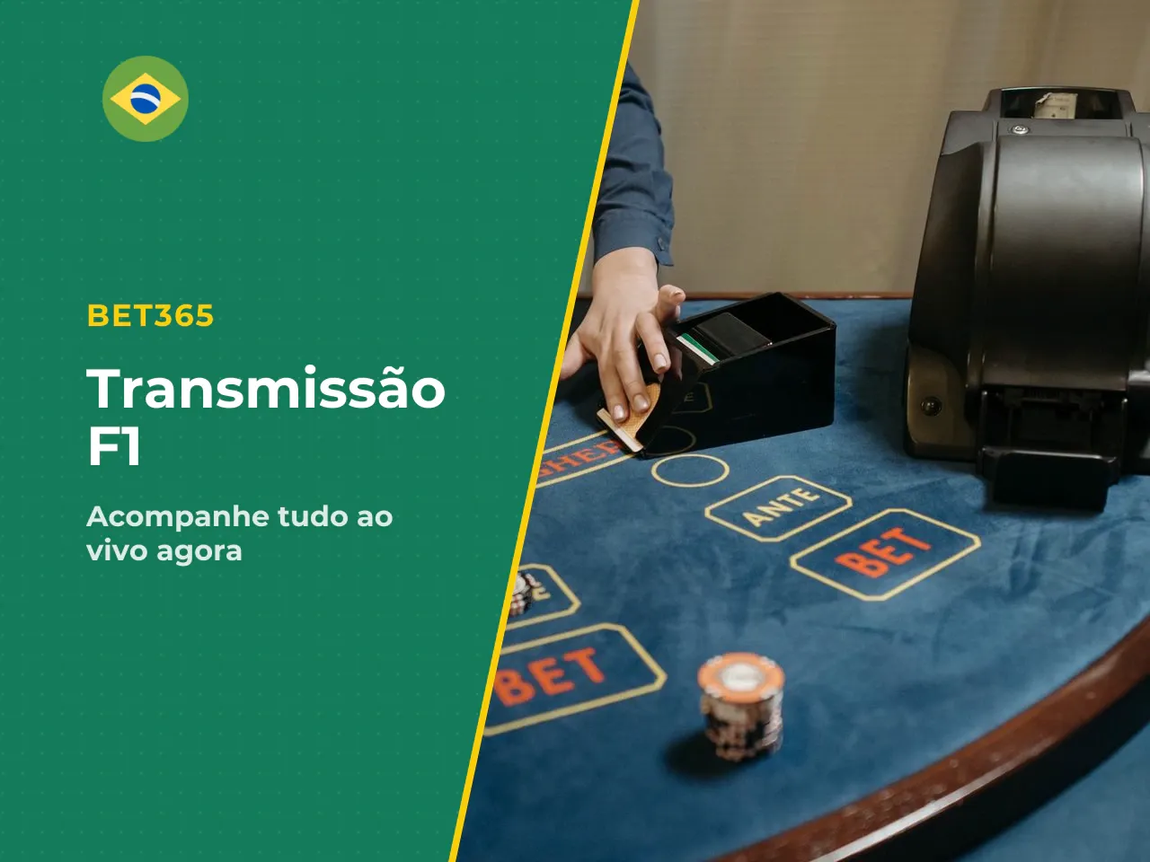 A barreira financeira do plano Pro se justifica pela telemetria plena, câmeras exclusivas e Multi View. O catálogo inclui o arquivo histórico completo desde 1950, com corridas, entrevistas e documentá